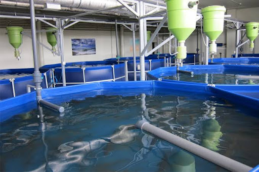 heat pump for Aquaculture pool